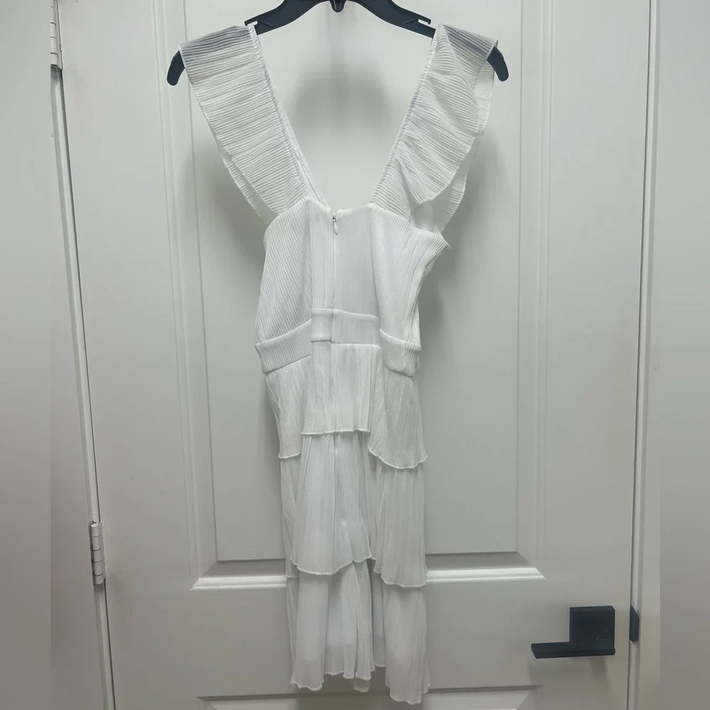 Express Ruffle Dress - Picture 3 of 3